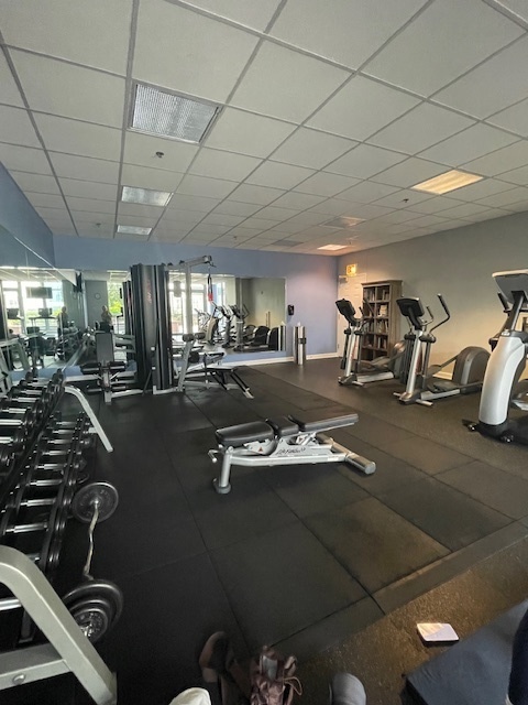 1600 South Prairie Avenue, Unit 904 Chicago, IL 60616 - Photo 15 of 19 a view of a room with gym equipment