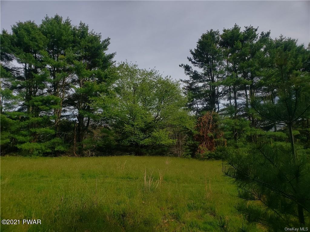 Mud Pond Road Highland Lake, NY 12743 - Photo 2 of 13