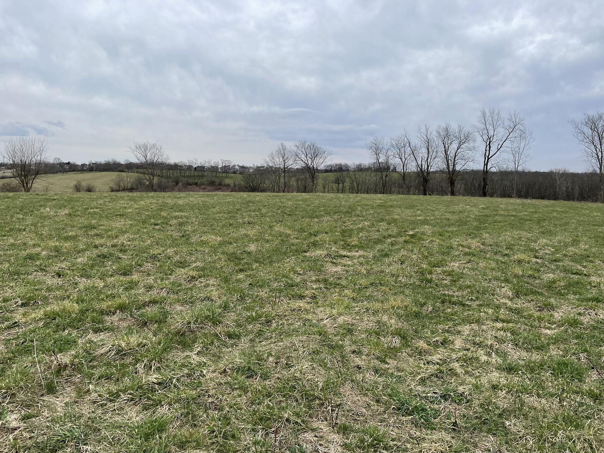 2130 McClure Road, Unit LOT # 29 Winchester, KY 40391 - Photo 2 of 9 IMG_0625