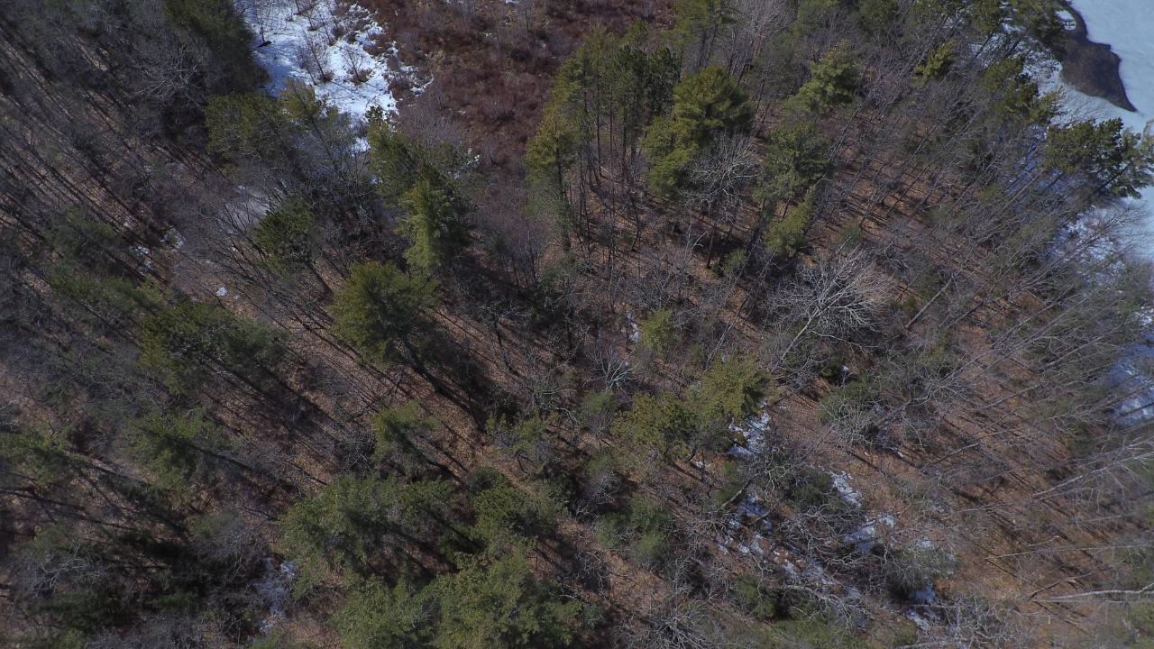On Carlson Road, Unit LOTS 15 Land O'Lakes, WI 54540 - Photo 23 of 26 Gallery Image 23