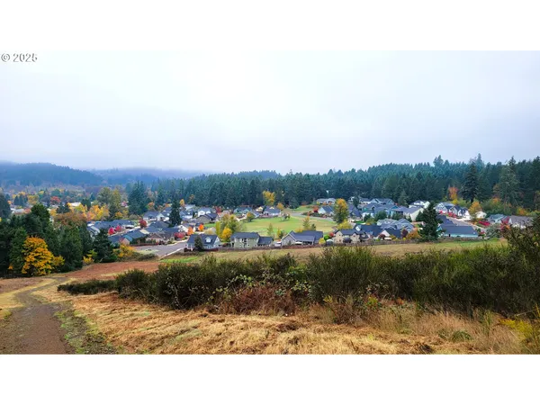 a view of a field