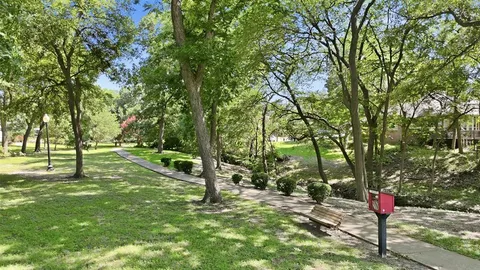 a view of a park with large trees