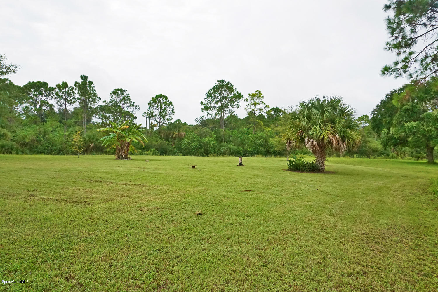 3052 Triangle Road Palm Bay, FL 32909 - Photo 22 of 49 3052 Triangle Rd-23