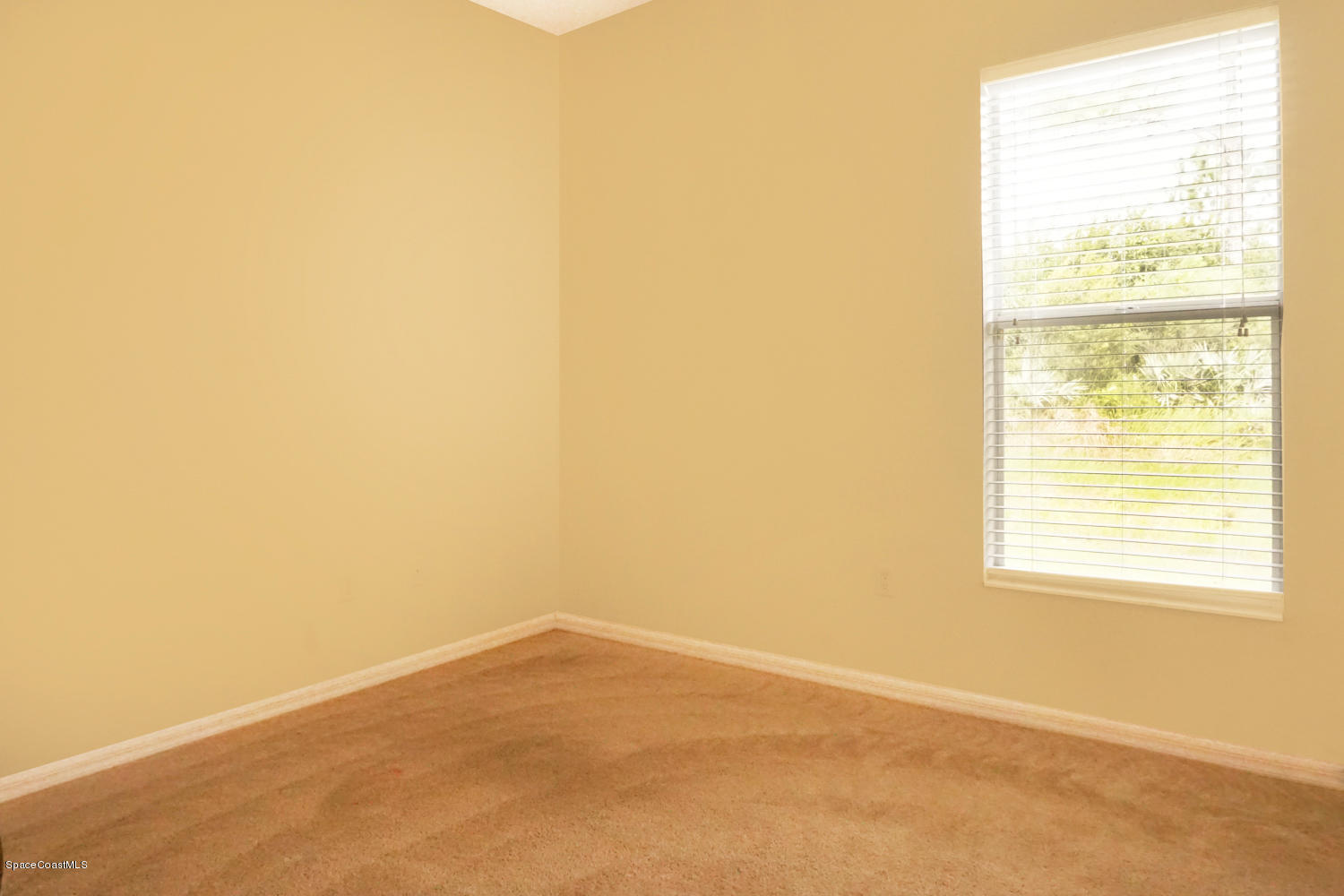 3052 Triangle Road Palm Bay, FL 32909 - Photo 47 of 49 Bedroom 4 (Guest)