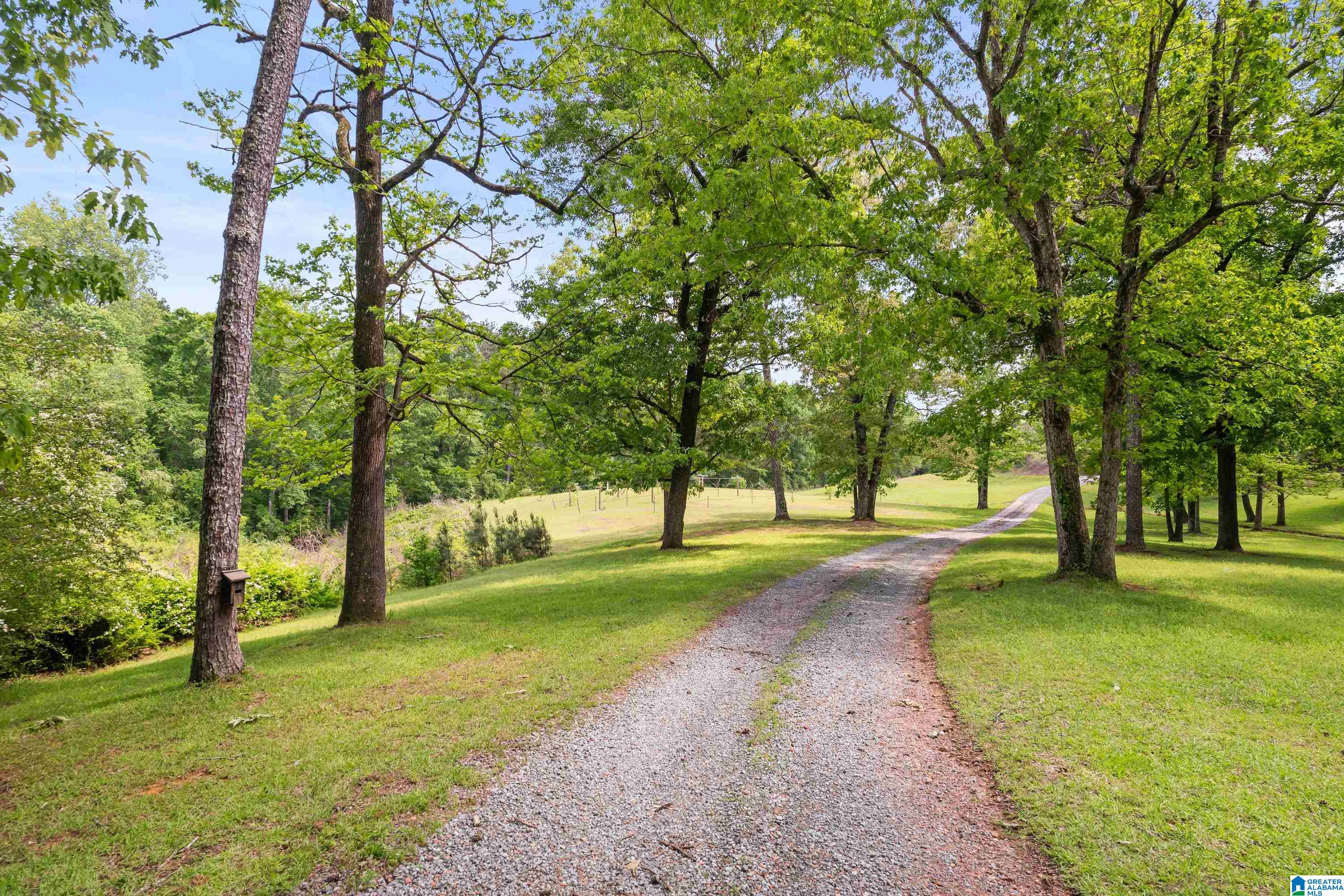 3671 White Road Dora, AL 35062 - Photo 61 of 67