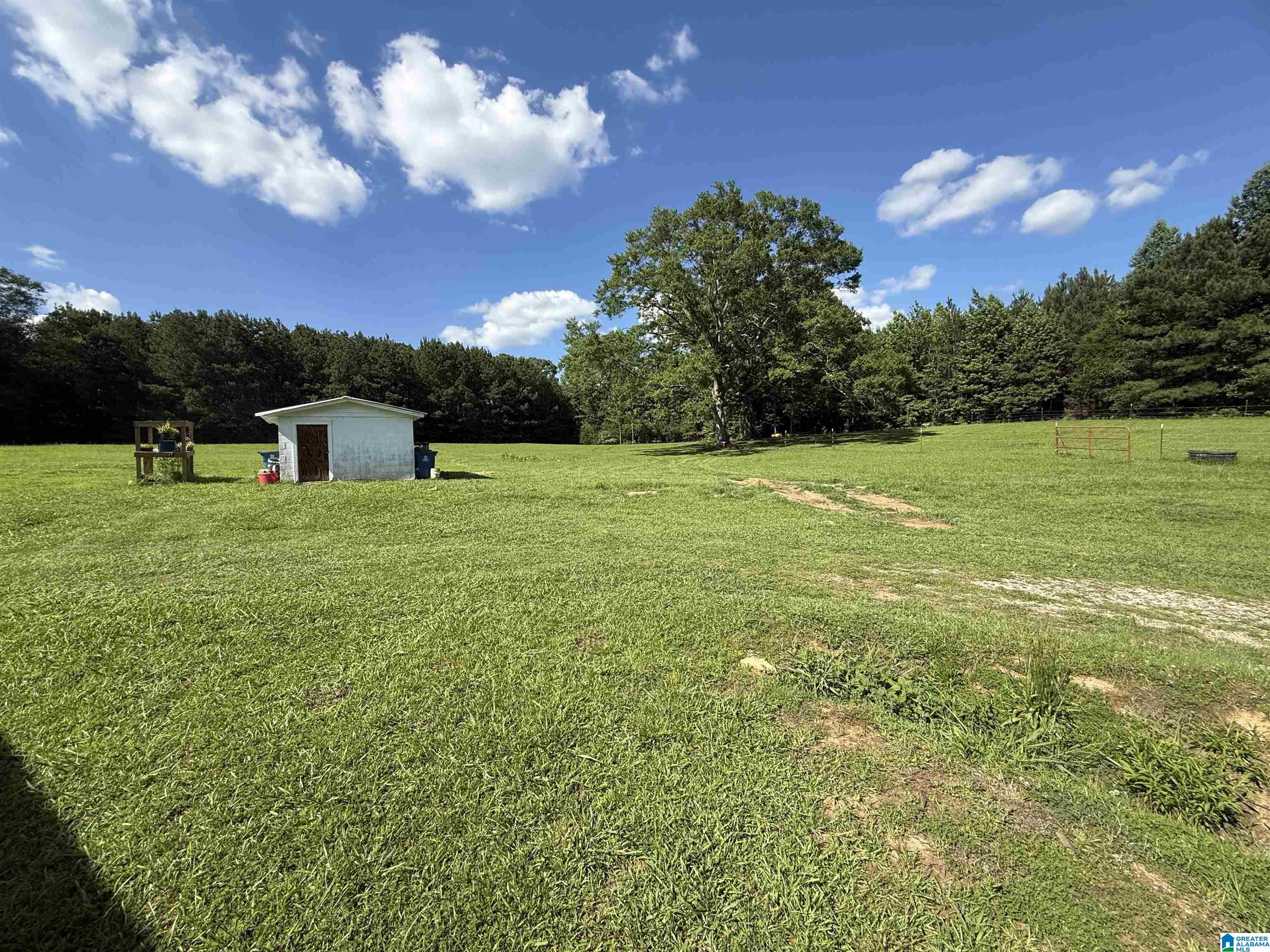 686 Tanyard Hill Road Sylacauga, AL 35151 - Photo 27 of 34