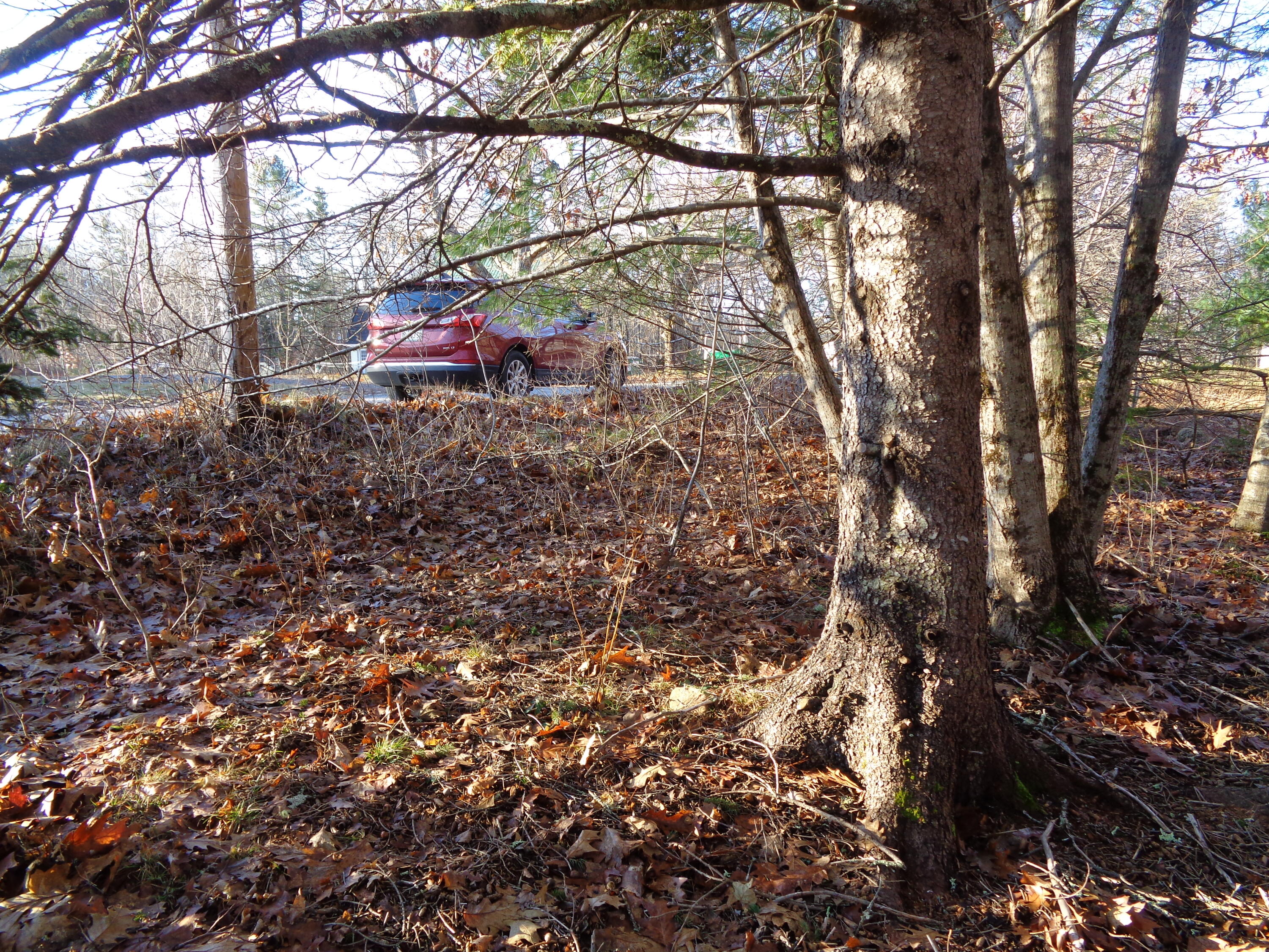 68 Quarry Road Sullivan, ME 04664 - Photo 8 of 16 View along road