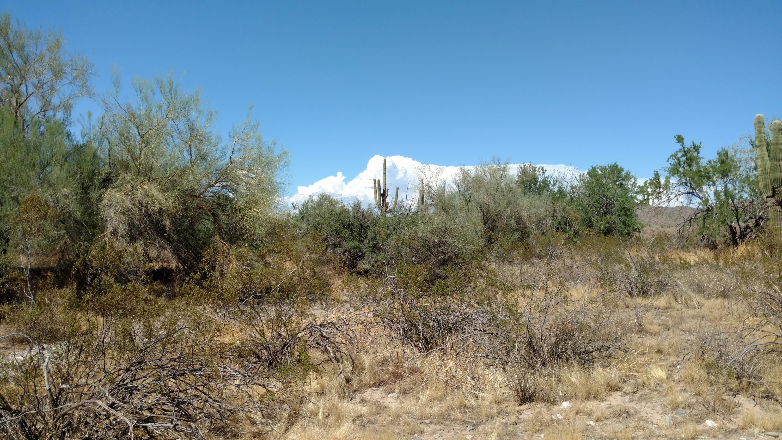 16700 West Quail Run Road, Unit 28 Surprise, AZ 85387 - Photo 3 of 3 167XX W. Quail Run Rd.