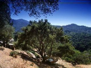 611 Goodhill Road Kentfield, CA 94904 - Photo 3 of 4 Gallery Image 3