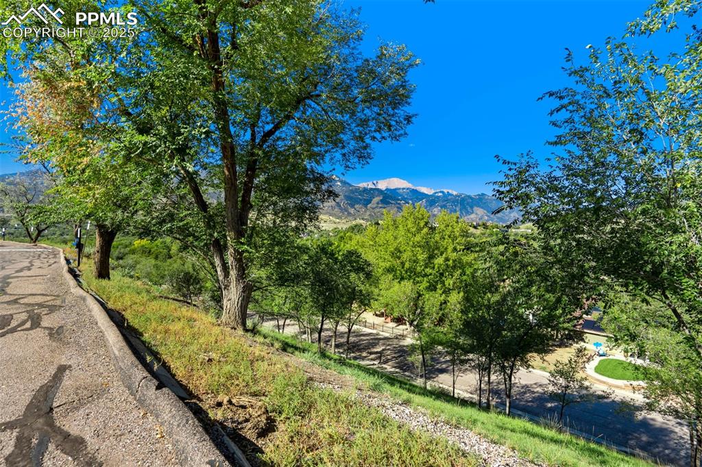 2387 Stepping Stones Way Colorado Springs, CO 80904 - Photo 29 of 35 a view of a yard with plants and a large tree