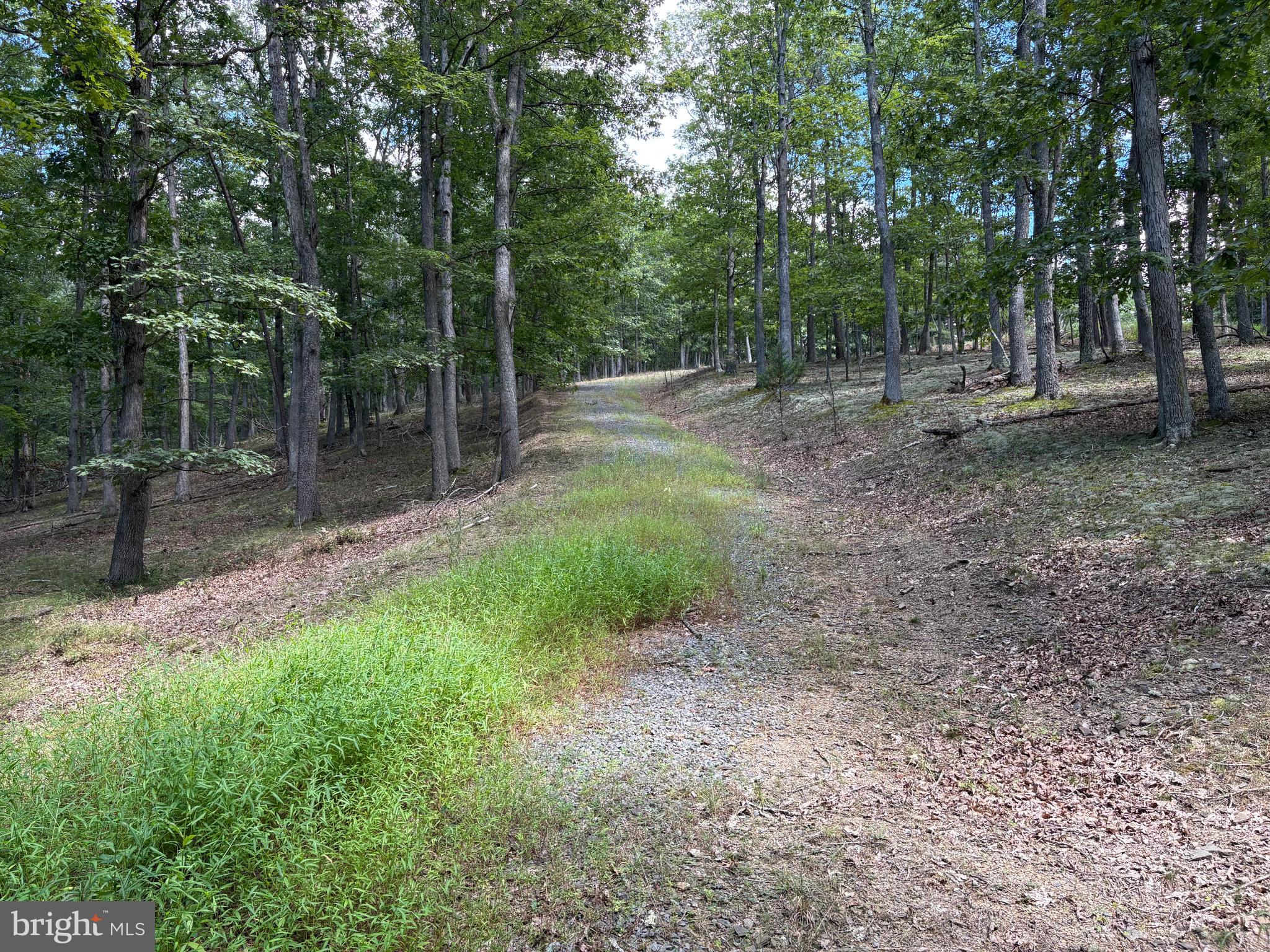 20.32-ac Trough Road Moorefield, WV 26836 - Photo 2 of 19 Gallery Image 2