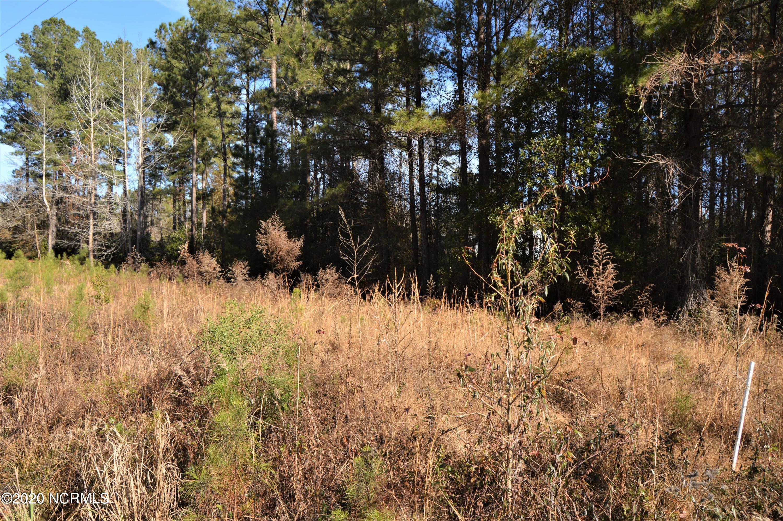 Lot 6 Scott Road Rocky Point, NC 28457 - Photo 1 of 8 land