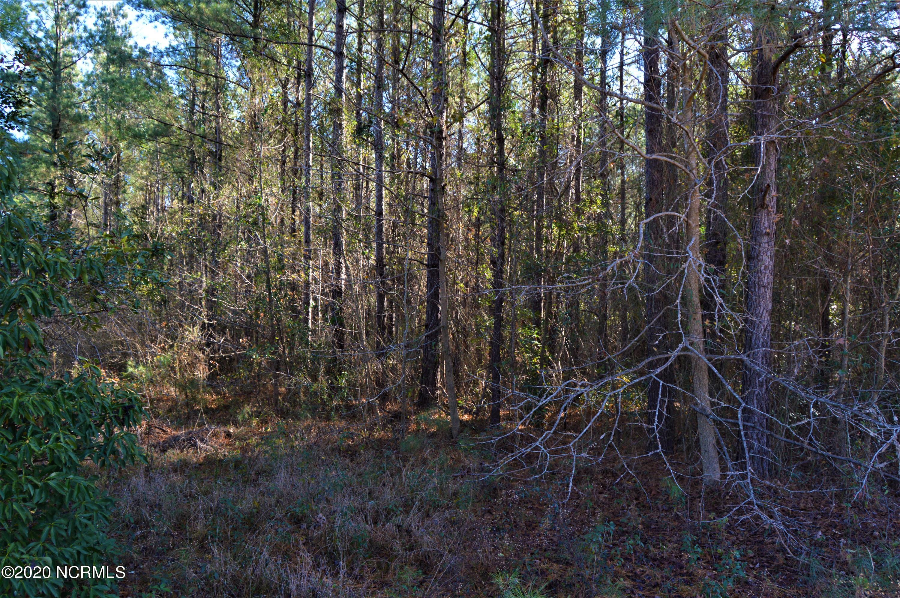 Lot 6 Scott Road Rocky Point, NC 28457 - Photo 3 of 8 3
