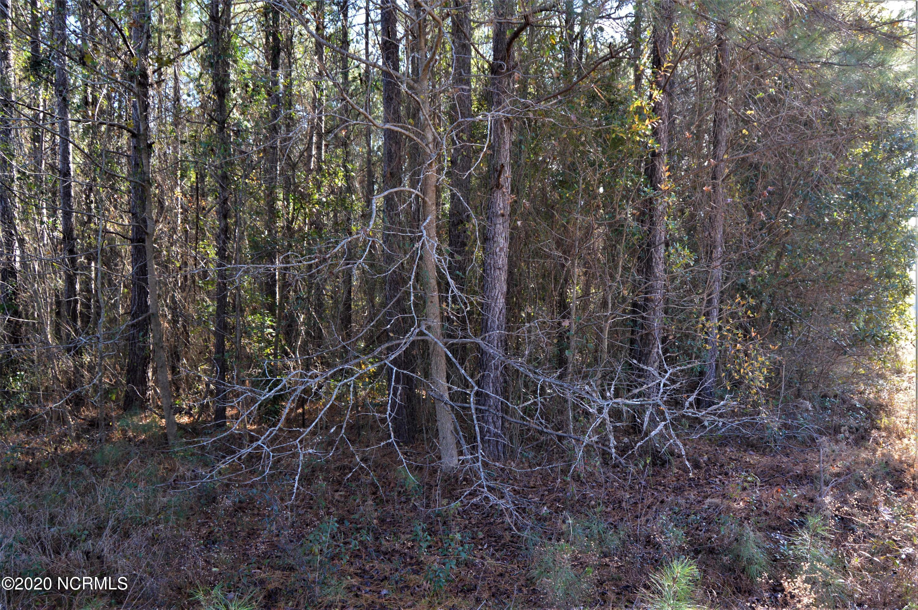 Lot 6 Scott Road Rocky Point, NC 28457 - Photo 4 of 8 land 2