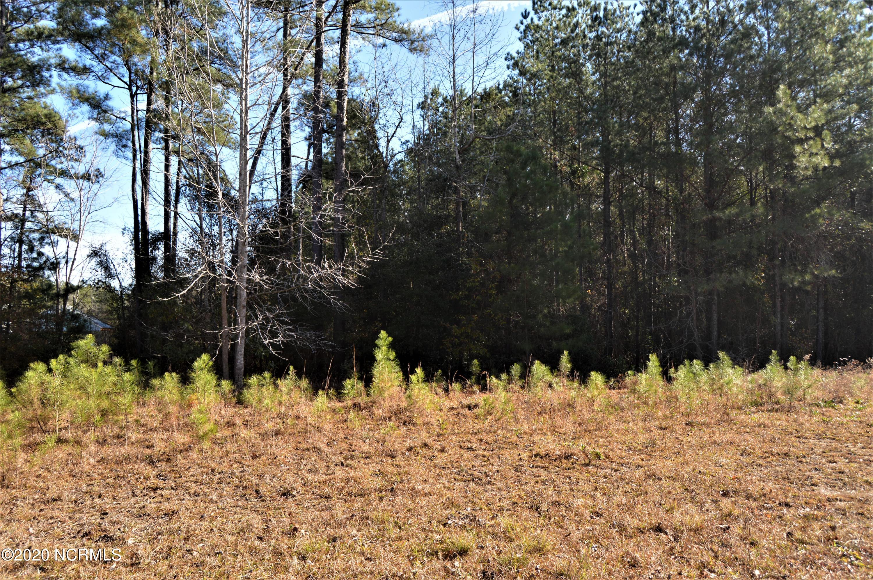 Lot 6 Scott Road Rocky Point, NC 28457 - Photo 5 of 8 5