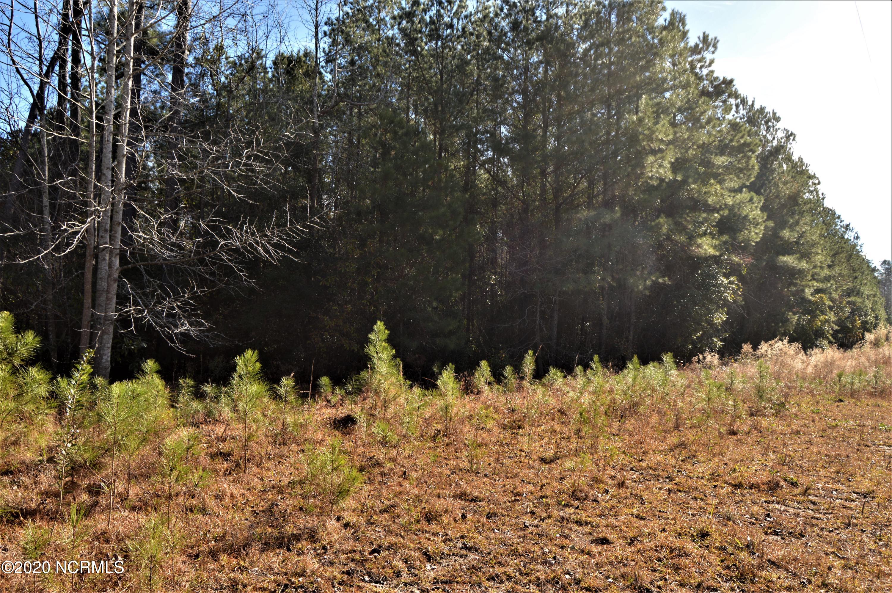 Lot 6 Scott Road Rocky Point, NC 28457 - Photo 6 of 8 4