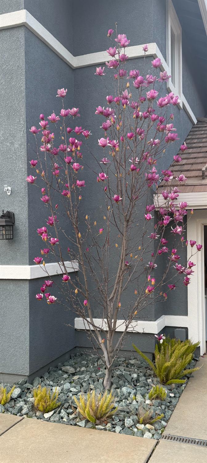 3485 Lambeth Drive Rescue, CA 95672 - Photo 22 of 33