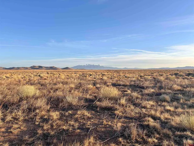 wooden view of city and ocean