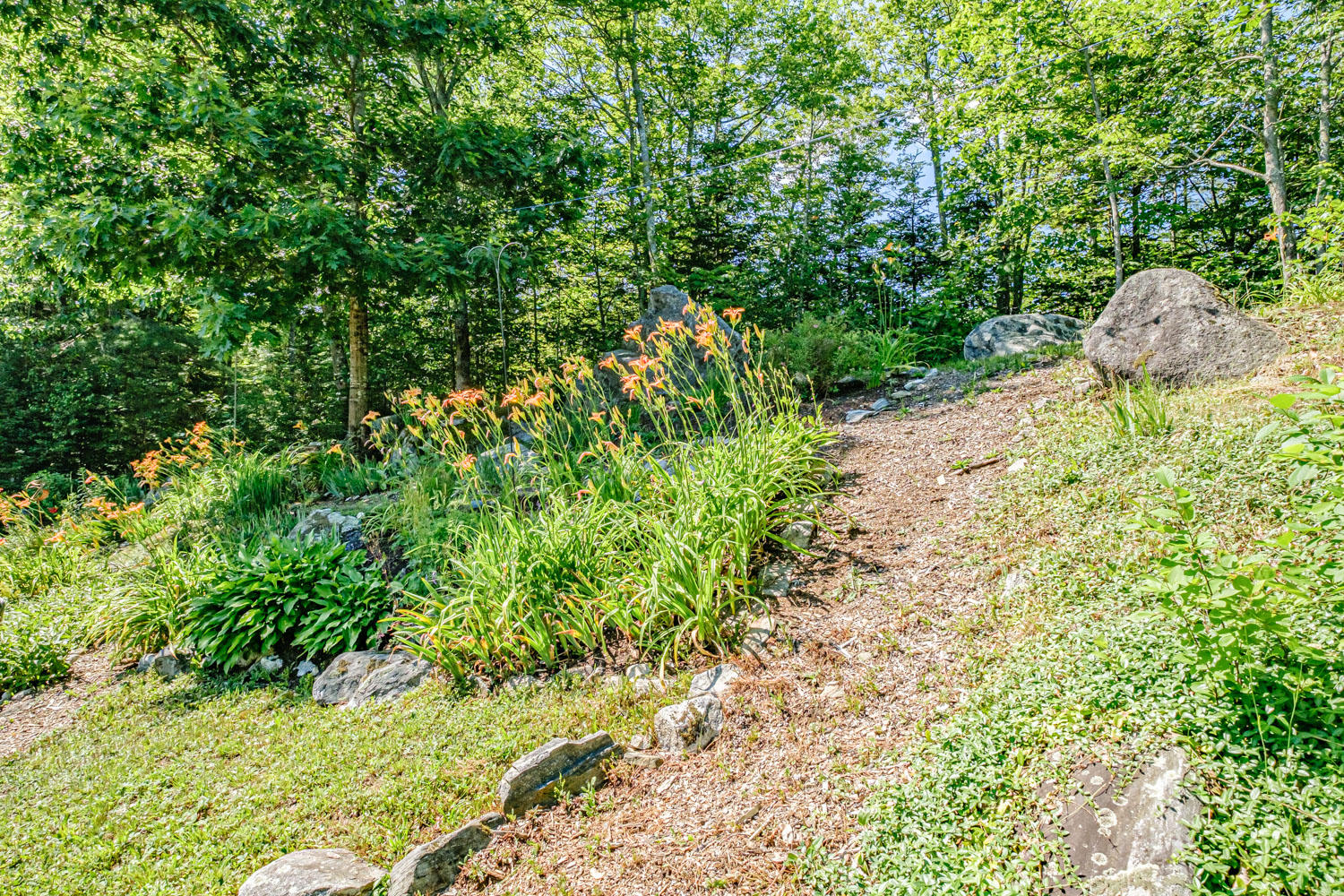 316 Bill Luce Road Washington, ME 04574 - Photo 49 of 62 20200709gp-62058