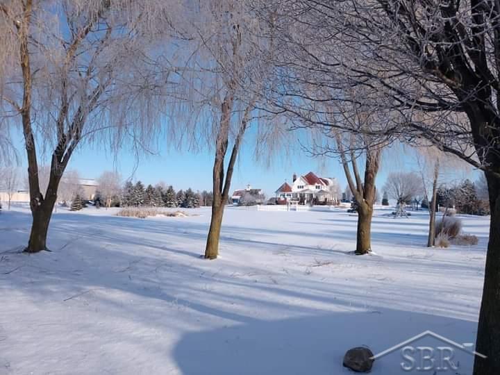 865 Amelith Road Freeland, MI 48623 - Photo 66 of 81