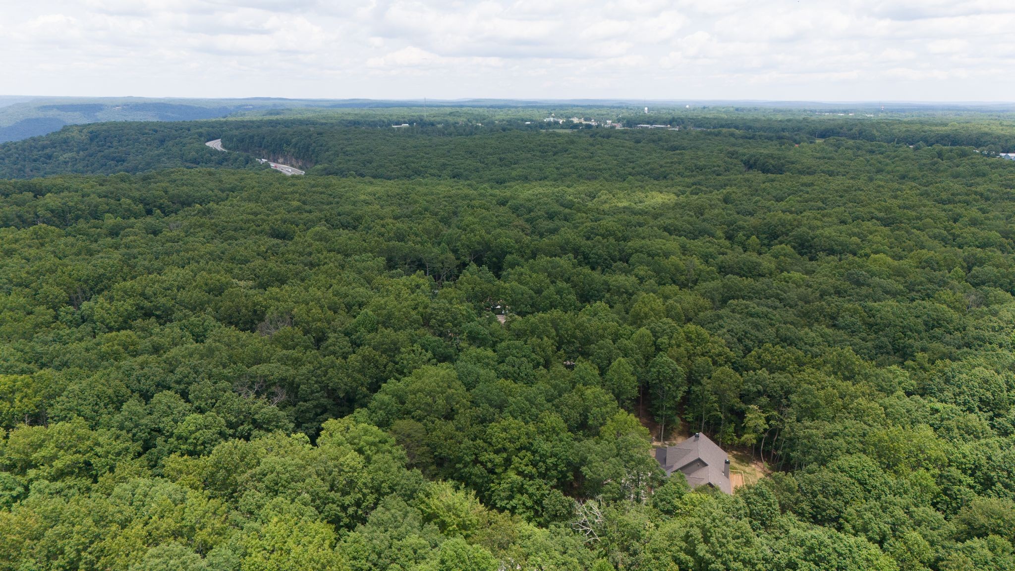 35 Lake Louisa Loop Monteagle, TN 37356 - Photo 6 of 44