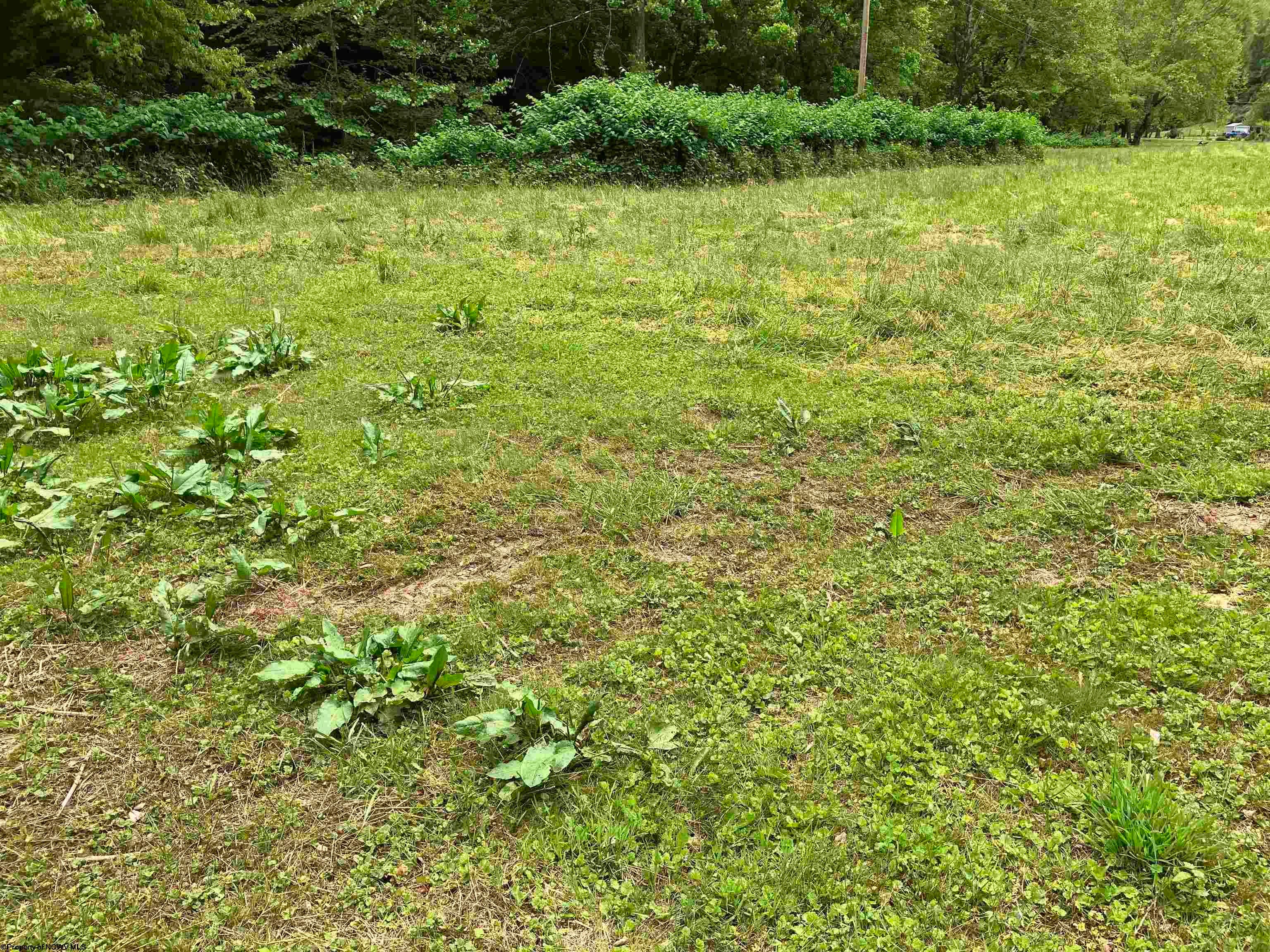1837 A 3 Lick Road Orlando, WV 26412 - Photo 7 of 7 Gallery Image 7
