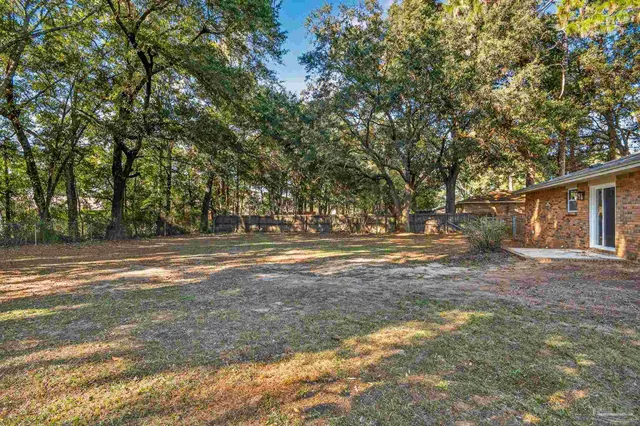 a view of dirt yard with large trees