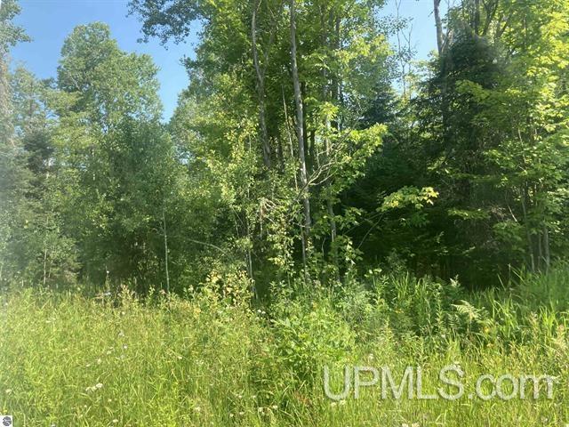 Tbd Tbd County Line Road Pelkie, MI 49958 - Photo 4 of 5