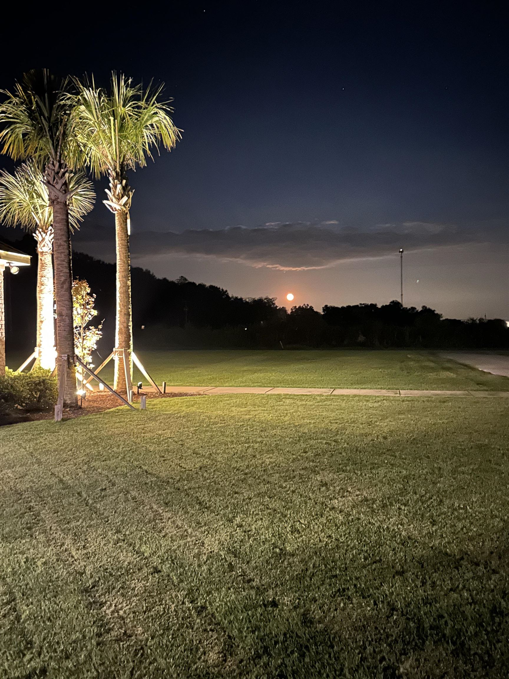 14951 County Road 83 Elberta, AL 36530 - Photo 66 of 71 Yard