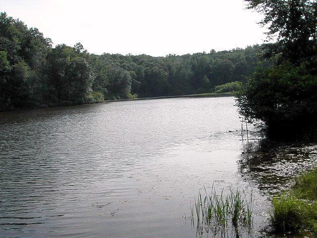 659 Buffalo Church Road, Unit 6A Pamplin, VA 23958 - Photo 2 of 8 Gallery Image 2