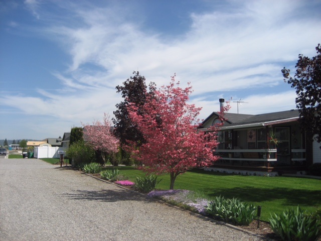 1106 North Blake Road Spokane Valley, WA 99216 - Photo 19 of 19