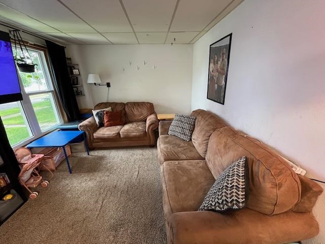 706 Clay Street Eveleth, MN 55734 - Photo 19 of 28