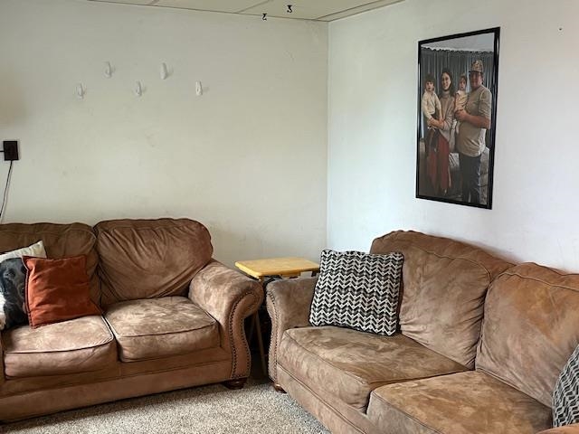 706 Clay Street Eveleth, MN 55734 - Photo 20 of 28