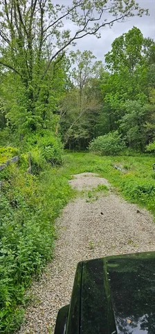 a view of a road with a yard