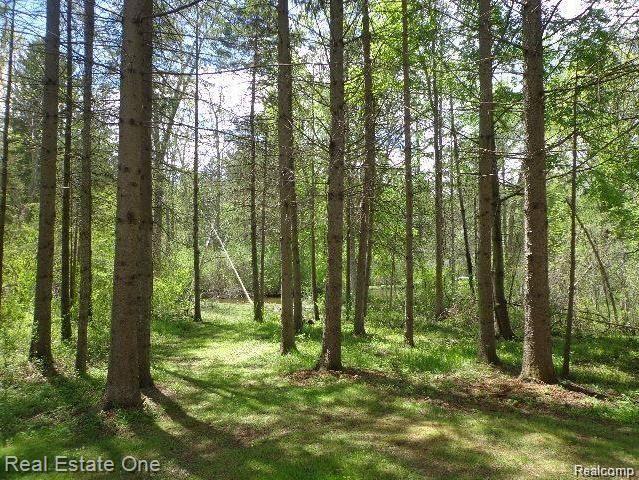 3920 North Ellamae Road Oakland, MI 48363 - Photo 25 of 37 25.jpg