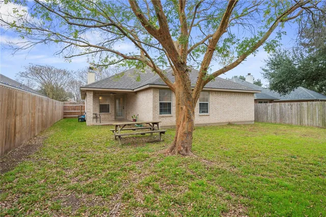 a view of a house with backyard and a tree