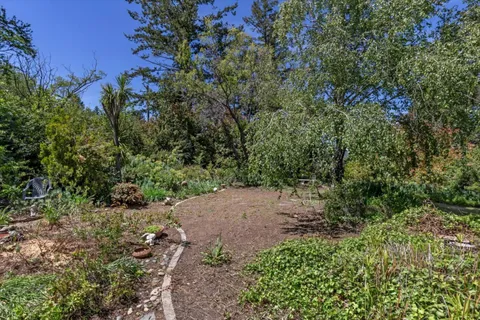 a view of a large yard with lots of green space
