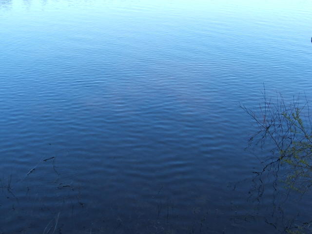 1087 Cape Road Hollis Center, ME 04042 - Photo 18 of 21 21