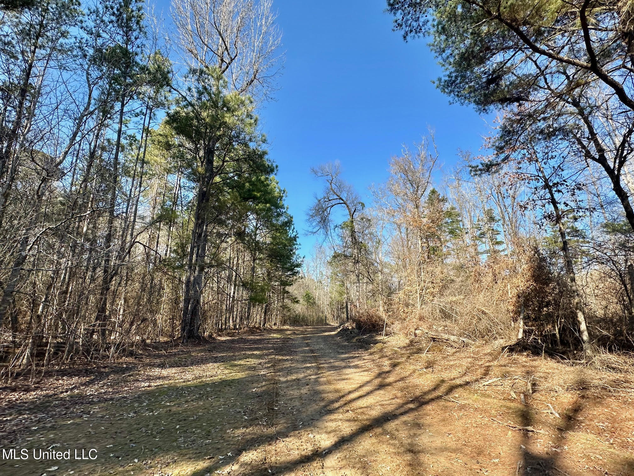 3 Evans Road Carthage, MS 39051 - Photo 13 of 46 125