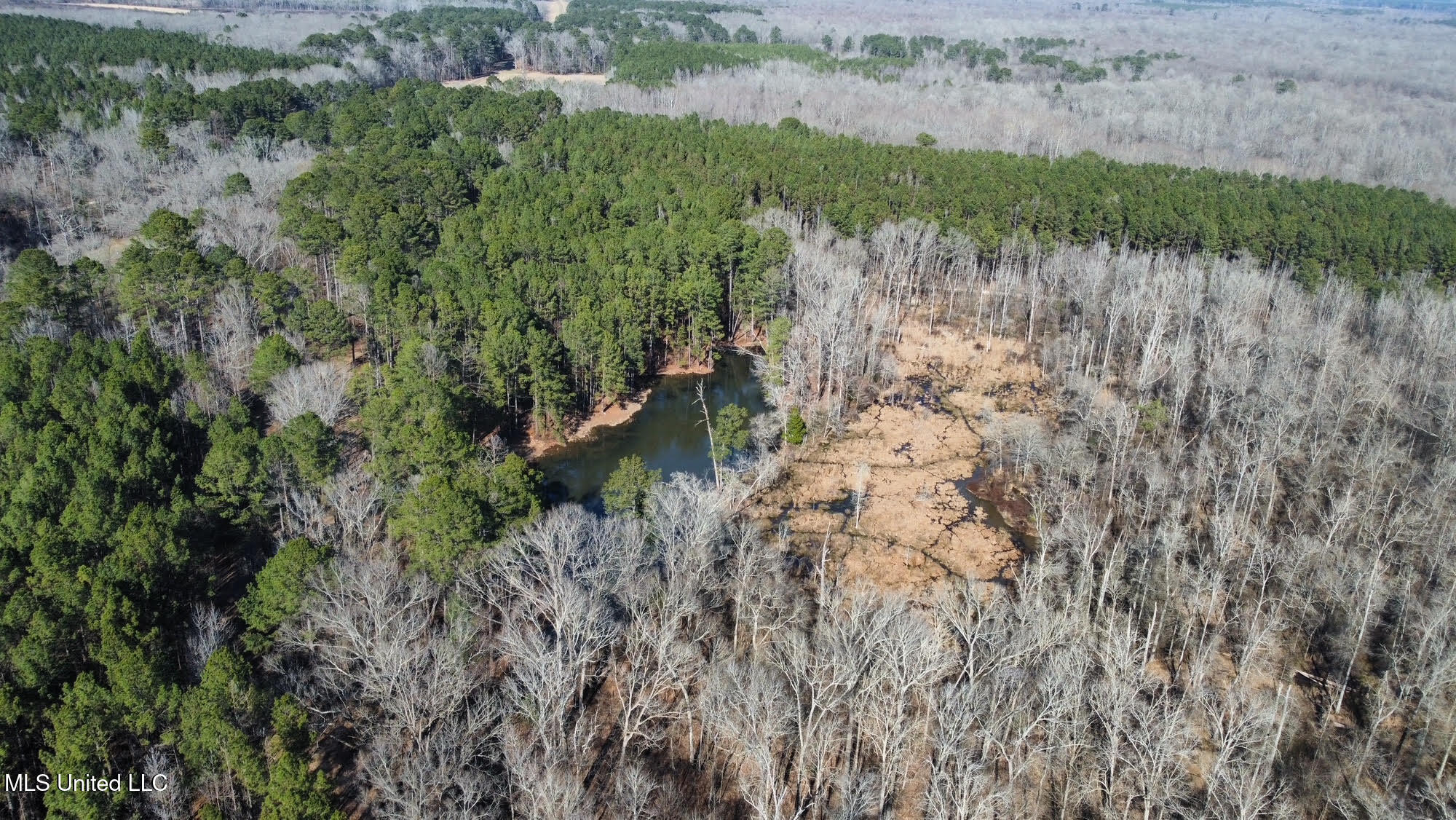 3 Evans Road Carthage, MS 39051 - Photo 17 of 46 129
