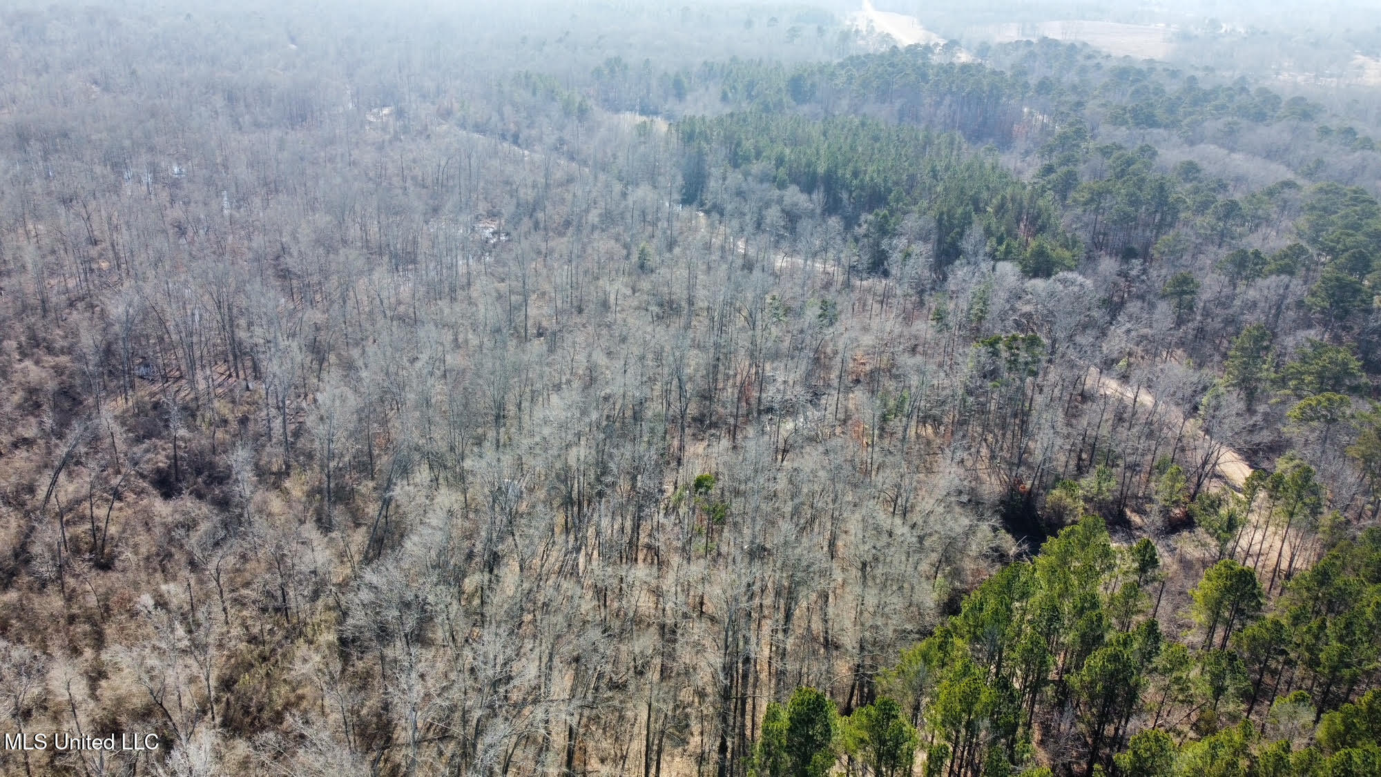3 Evans Road Carthage, MS 39051 - Photo 20 of 46 132