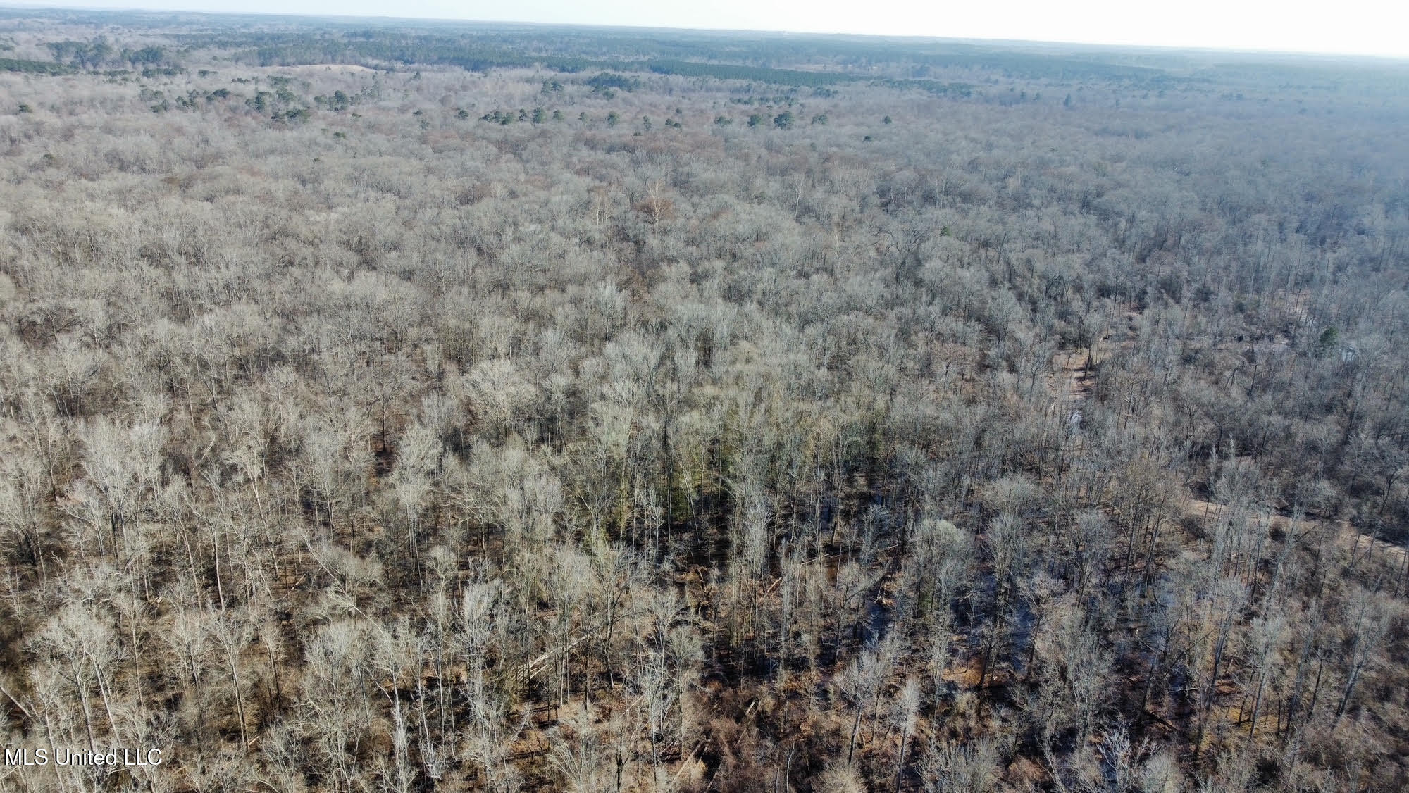 3 Evans Road Carthage, MS 39051 - Photo 22 of 46 134