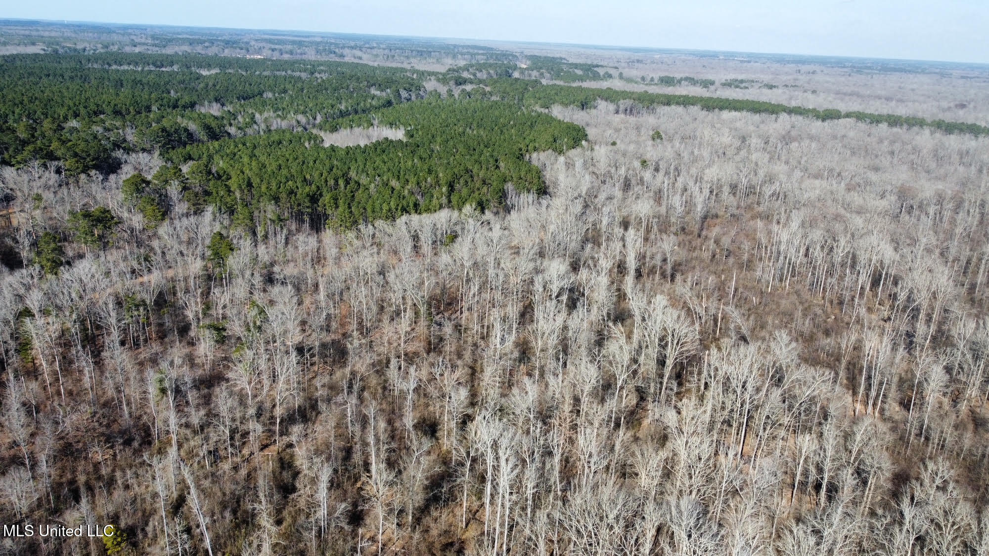 3 Evans Road Carthage, MS 39051 - Photo 24 of 46 136