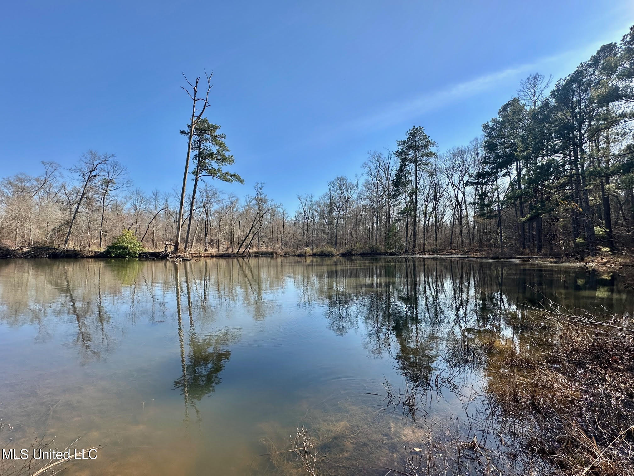 3 Evans Road Carthage, MS 39051 - Photo 29 of 46 141