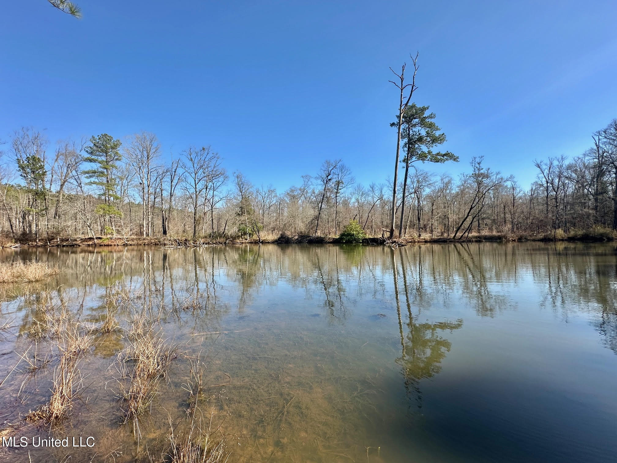 3 Evans Road Carthage, MS 39051 - Photo 30 of 46 142