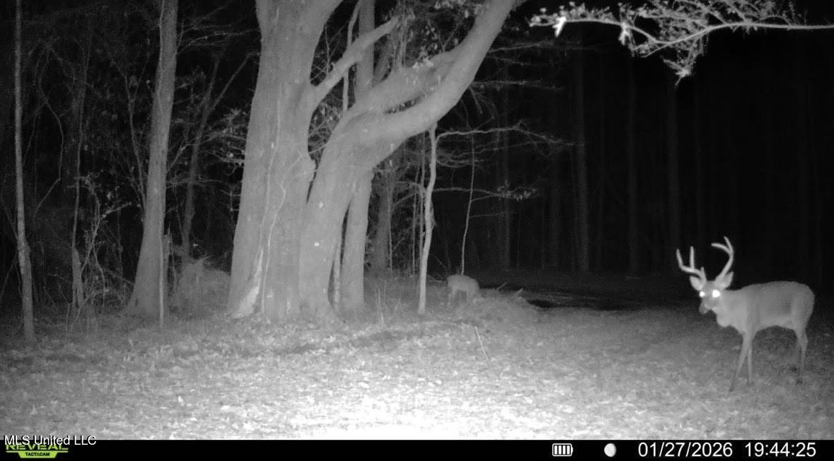 3 Evans Road Carthage, MS 39051 - Photo 40 of 46 157