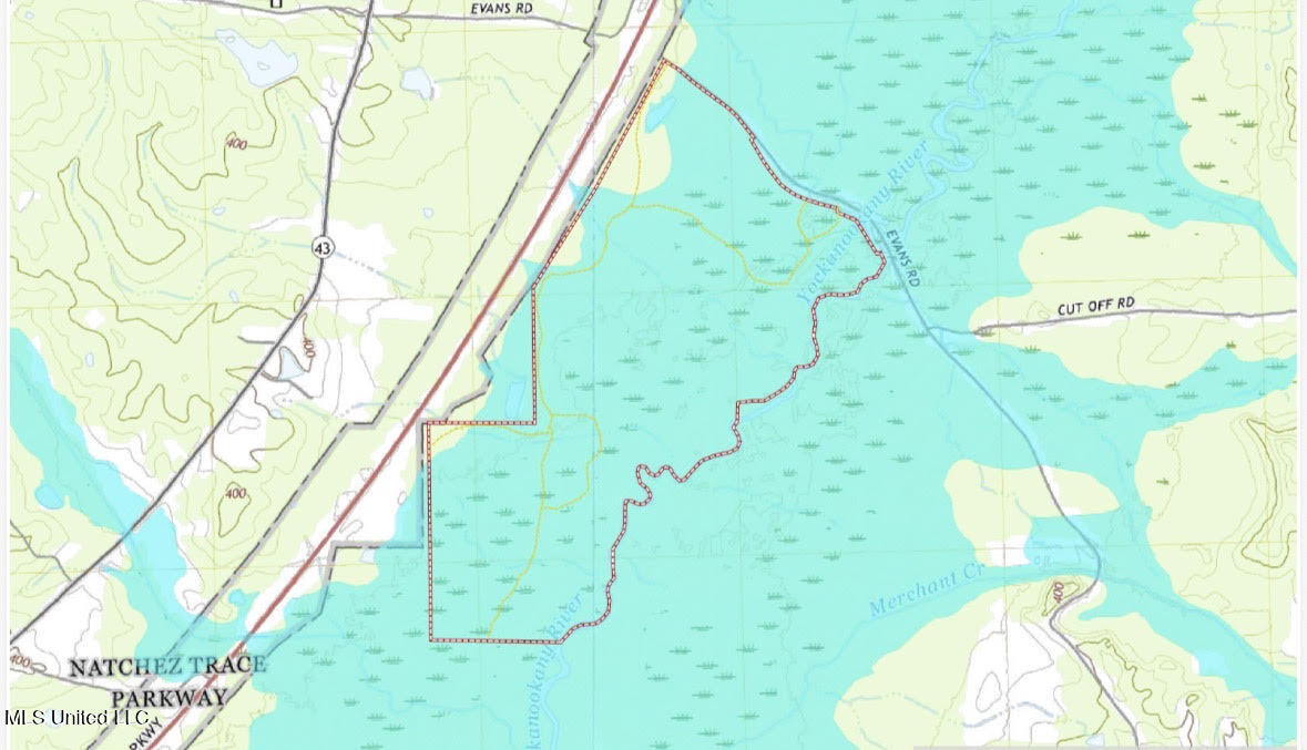 3 Evans Road Carthage, MS 39051 - Photo 45 of 46 182