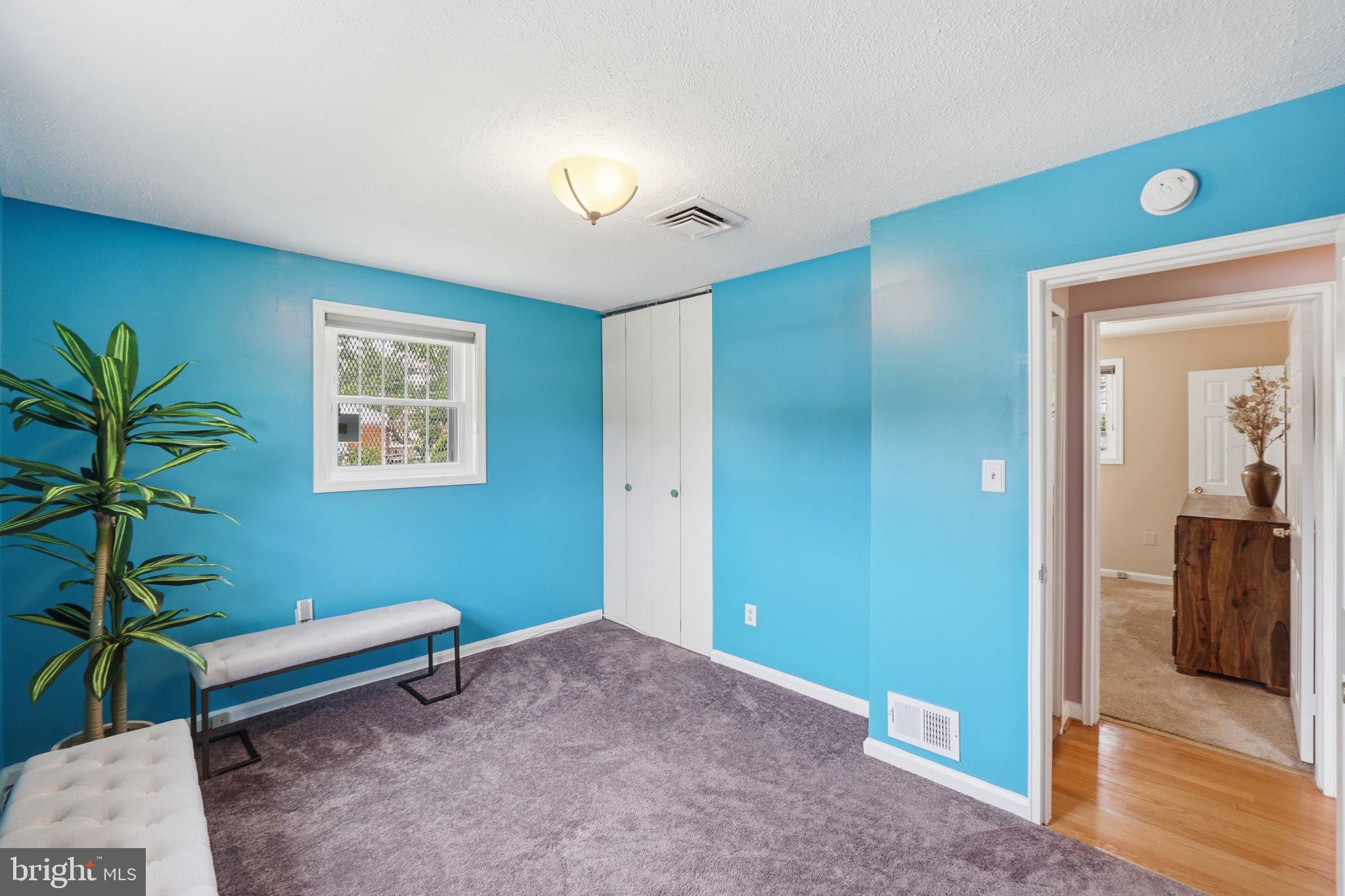 10713 Gregory Street Silver Spring, MD 20901 - Photo 21 of 38 3rd BR w/ample size closet