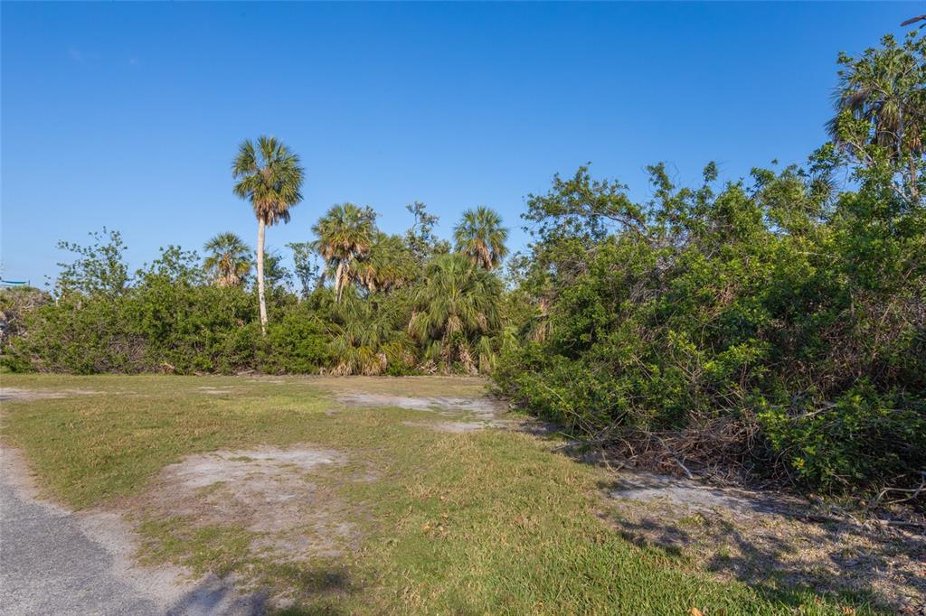560 Gulf Bay Road Longboat Key, FL 34228 - Photo 31 of 38 a view of a big yard with lots of green space