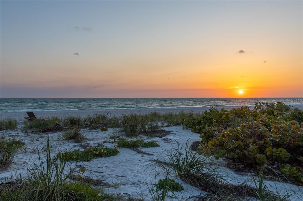 560 Gulf Bay Road Longboat Key, FL 34228 - Photo 34 of 38 a view of a large yard with a large tree